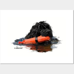 Portuguese Water Dog with Orange Bumper Posters and Art